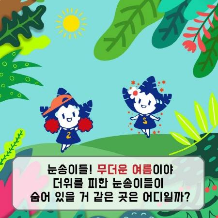 버킷리숙트 「더위를 피한 눈송이가 있는 곳은?」