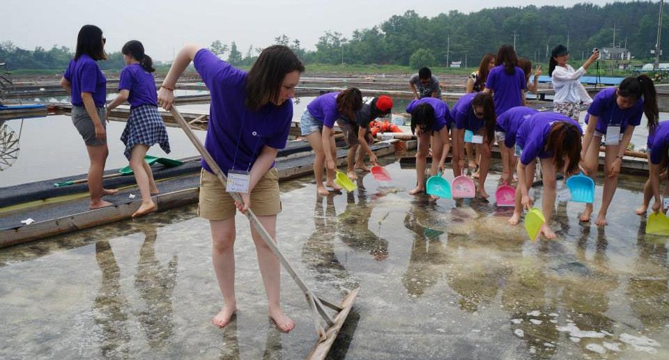 A cool summer experience event held at the salt fields of Daebu-do, Ansan.