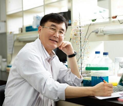 Prof. Myung-suk Lee's research team identifies a new mechanism linking diabetes and breast cancer