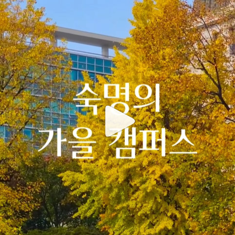 단풍으로 물든 숙명의 가을 캠퍼스🍂🍁