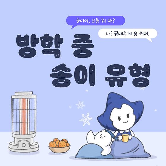 방학을 보내는 눈송이들 유형 모음❄